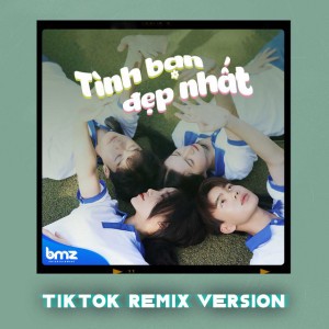 Tình Bạn Đẹp Nhất - TikTok Remix