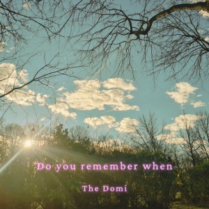 Do You Remember When by The Domi