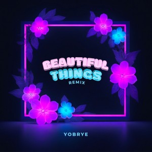 Beautiful Things (Remix)