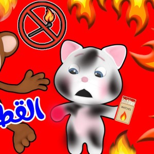 القطة واوا