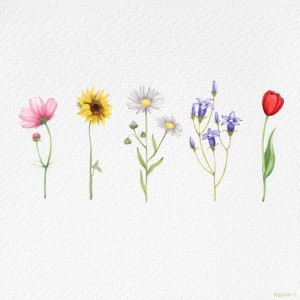 wildflower