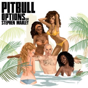 Options by Pitbull & Stephen Marley