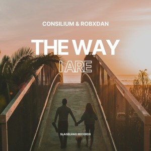The Way I Are - Techno Remix