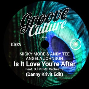 Is It Love You're After - Danny Krivit 12" Edit