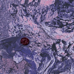 They Don't Care About Us