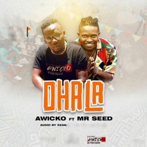 Ohala (feat. Mr Seed)