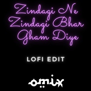 Zindagi Ne Zindagi Bhar Gham Diye - Lofi Remix