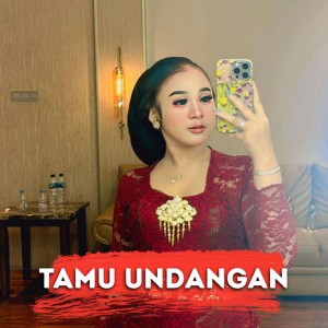TAMU UNDANGAN - Reggae