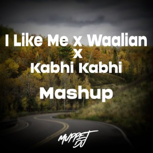 I Like Me X Waalian X Kabhi Kabhi - Remix
