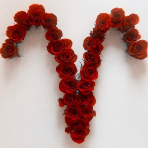 Aries Love