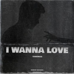 I Wanna Love