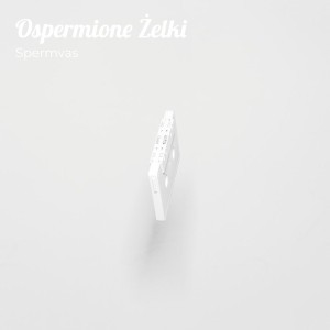 Ospermione Żelki