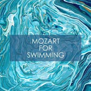 Piano Concerto No. 23 in A, K. 488: II. Adagio