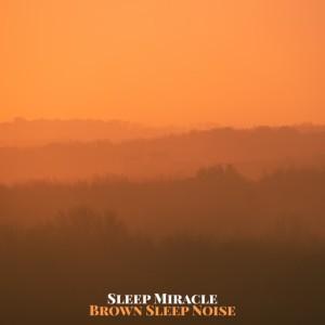 Brown Sleep Noise
