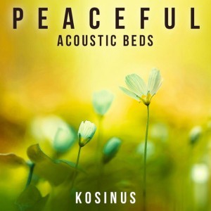 Peaceful Acoustic Bed