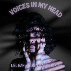 Voices in my Head