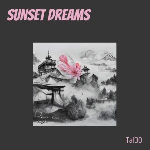 sunset dreams