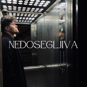 Nedosegljiva