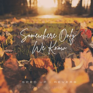 Somewhere Only We Know (sped up + reverb) - Remix