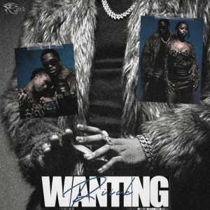 Wanting
