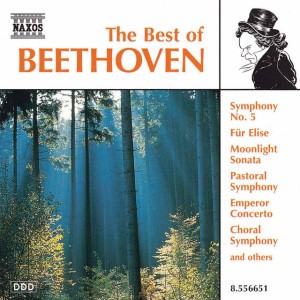 Symphony No. 9 In D Minor, Op. 125, "Choral": IV. Finale: Presto-Allegro Assai (Excerpt)