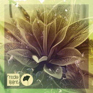 Outra Vez - Dimo (Bg) Remix