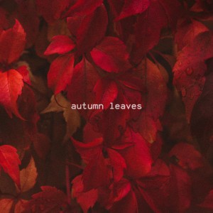 autumn leaves