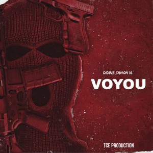 Voyou