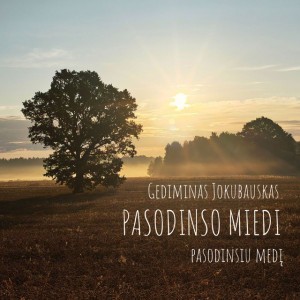 Pasodinso miedi | Pasodinsiu medį