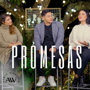 Promesas - Cover