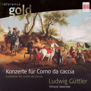 Concerto for Corno da Caccia in D Major: III. Rondo - Allegro moderato