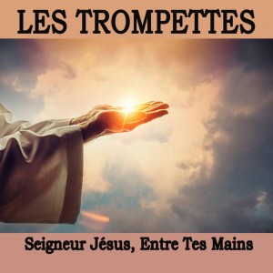 Aimer passer sa vie a aimer by LES TROMPETTES
