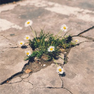 Mighty Name of Jesus - Live