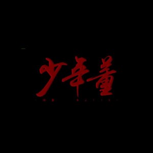 少年董