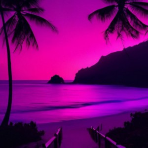 Papaoutai – ambient