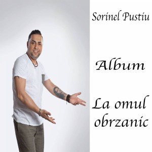 Stau Ca Vulturul Pe Stanca