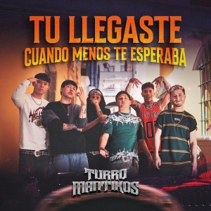 Tú Llegaste, Cuando Menos Te Esperaba