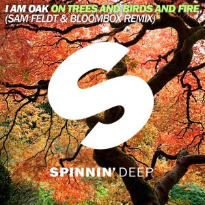 On Trees And Birds And Fire - Sam Feldt & Bloombox Remix Edit
