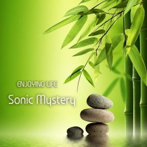 Drive Me Gently by Sonic Mystery