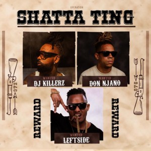 Shatta Ting by Dj Killerz & Don Njano & Leftside