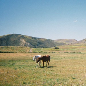 Do I Like You Like That