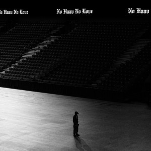 No Haav No Love