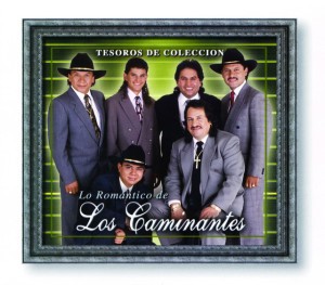 Amor Que Nace (Album Version)