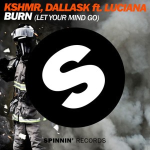 Burn (Let Your Mind Go) (feat. Luciana) - Extended Mix