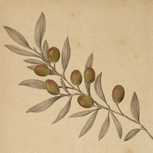 Nostos
