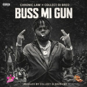 Buss Mi Gun