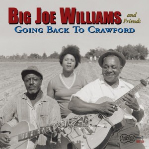 Baby Please Don't Go by Big Joe Williams