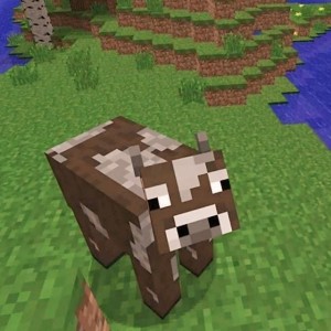Cows from minecraft