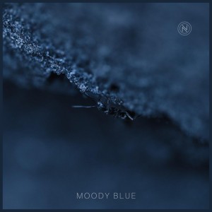 Moody Blue