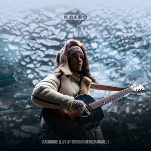 Backbone - Live at Breiðarmerkurjökull